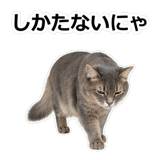 854882075