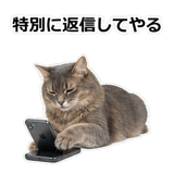 854882076