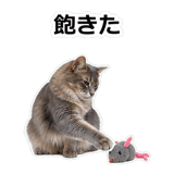 854882080