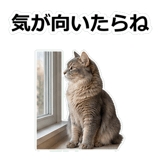 854882083