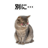 854882085