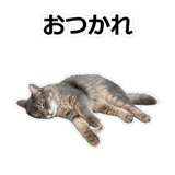 854882091