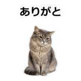 854882094