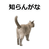 854882100