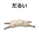 854882106