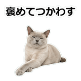 854882110