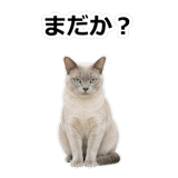 854882117
