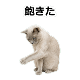 854882120