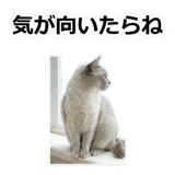 854882123