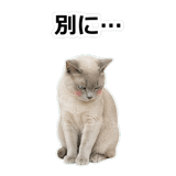 854882125