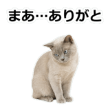 854882126