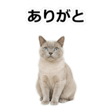 854882134