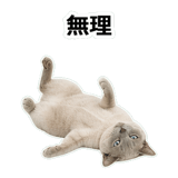 854882136