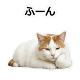 854882250