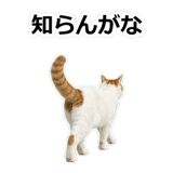 854882252