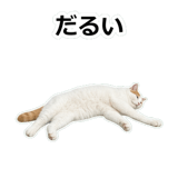 854882258