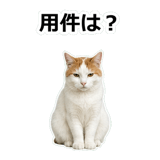 854882260