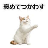 854882262