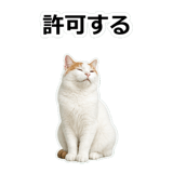 854882264