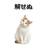 854882266