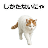 854882267