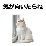 854882275
