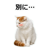 854882277
