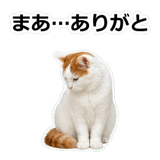 854882278