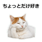 854882280