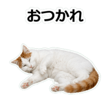 854882283