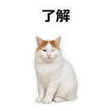 854882285