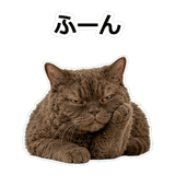 854882330