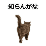 854882332