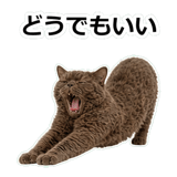 854882336