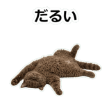 854882338