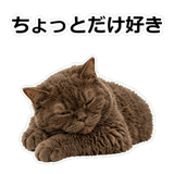 854882360