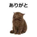 854882366