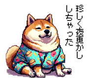 854882849