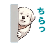 854883675