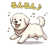 854883677