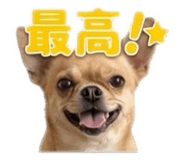 854884288