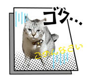 854884376