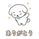 854884477