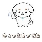 854884500