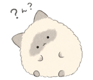 854884516