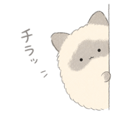 854884519