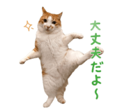 854884756