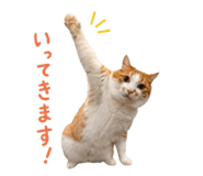 854884757