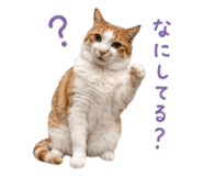 854884761