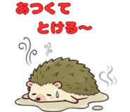 854886430